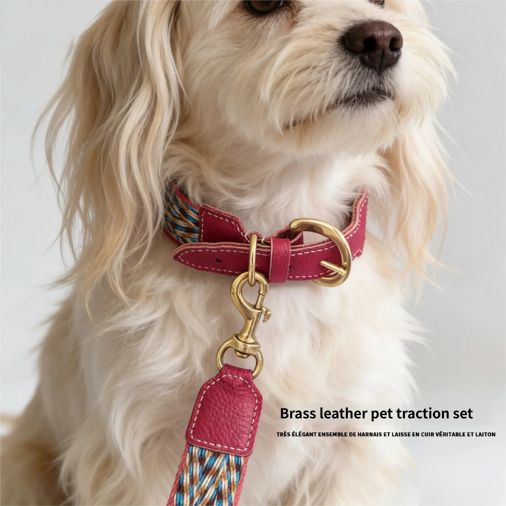 Collar de cuero para perro trenzado bohemio con correa ajustable - imagen 4