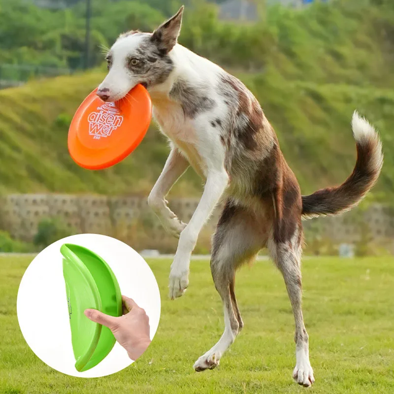 Disco volador resistente para entrenamiento canino