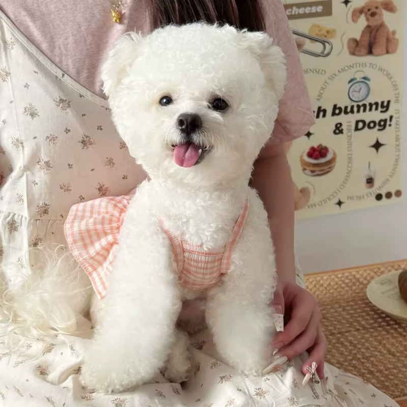 Vestido a cuadros de verano con volantes para perros y gatos