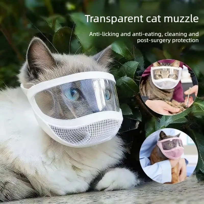 Mascota con máscara protectora transparente