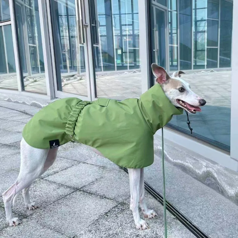 Chubasquero Impermeable para Perros – Ideal para Paseos y Exteriores - imagen 4