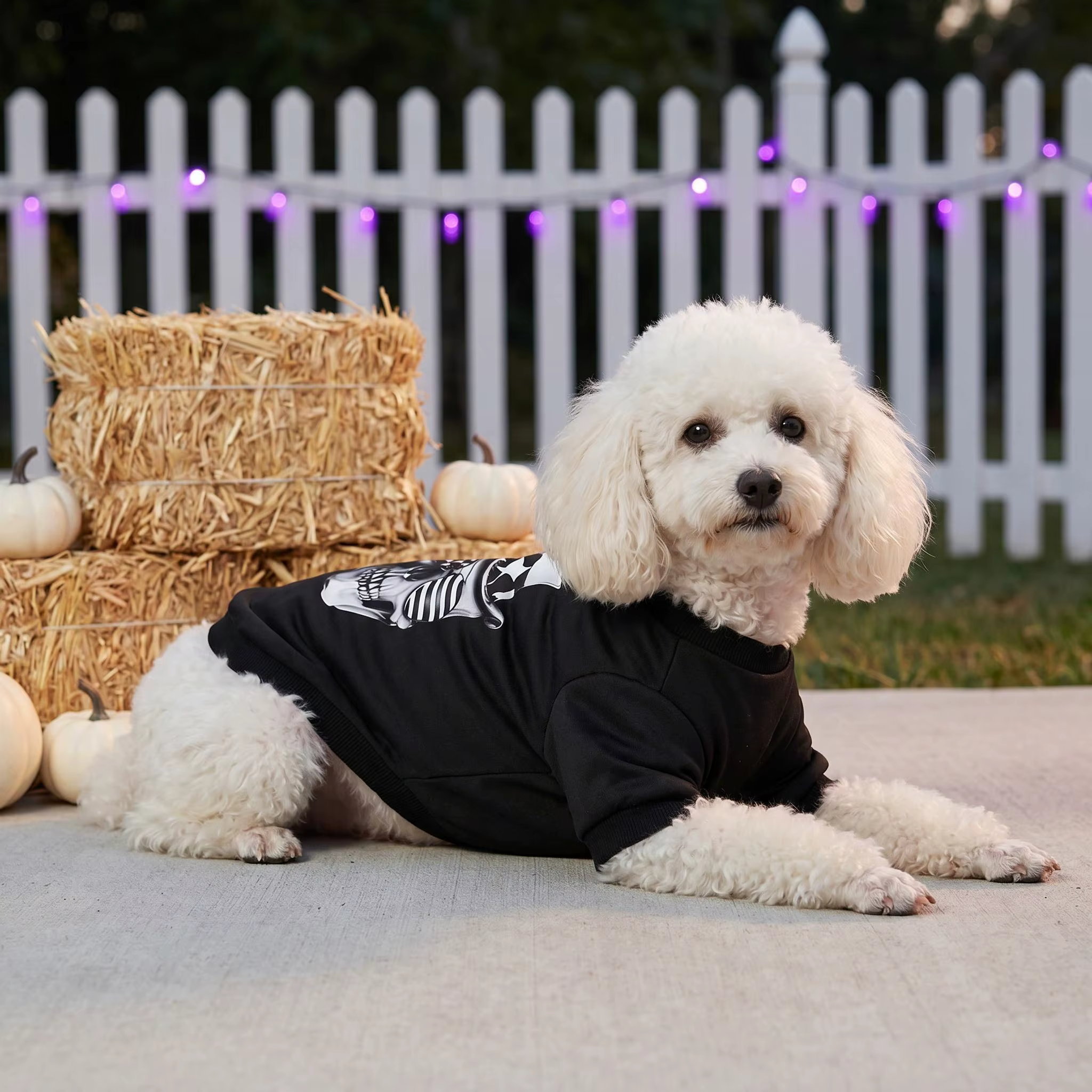 Disfraz Halloween para gatos y perros