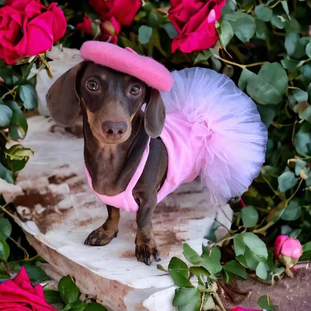 Detalle del encaje del vestido para perro tipo salchicha