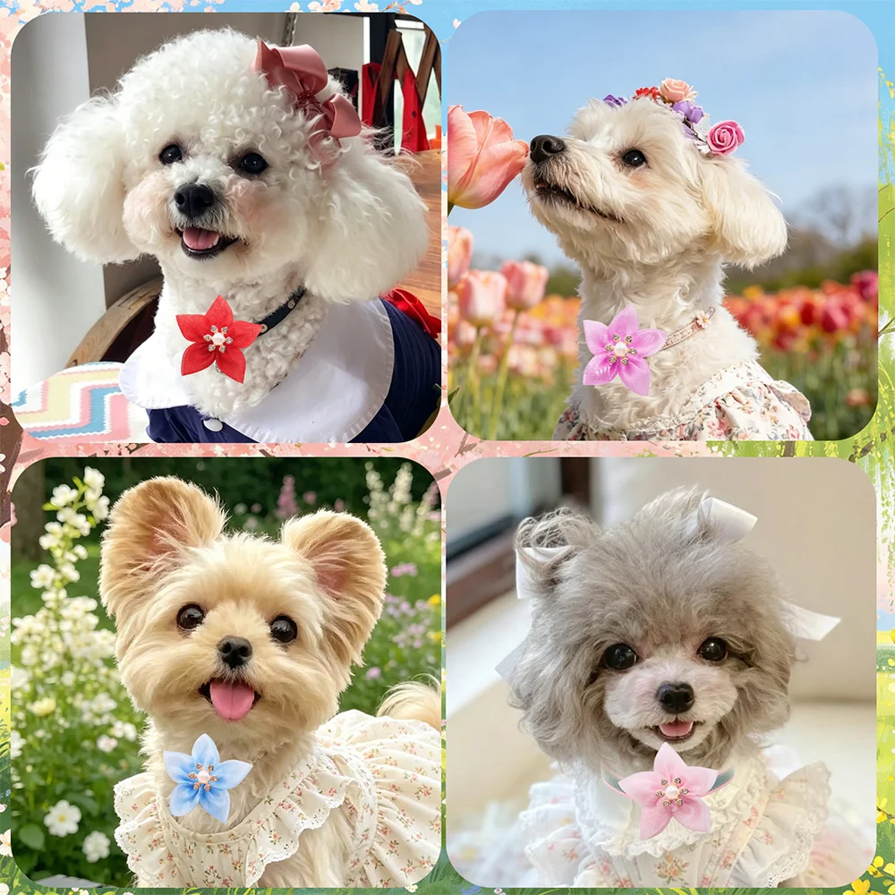 Collar con lazo para perros con flores y diamantes removibles