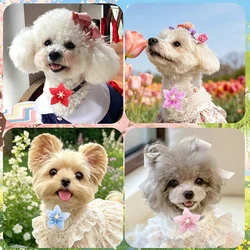 Collar con lazo para perros con flores y diamantes removibles