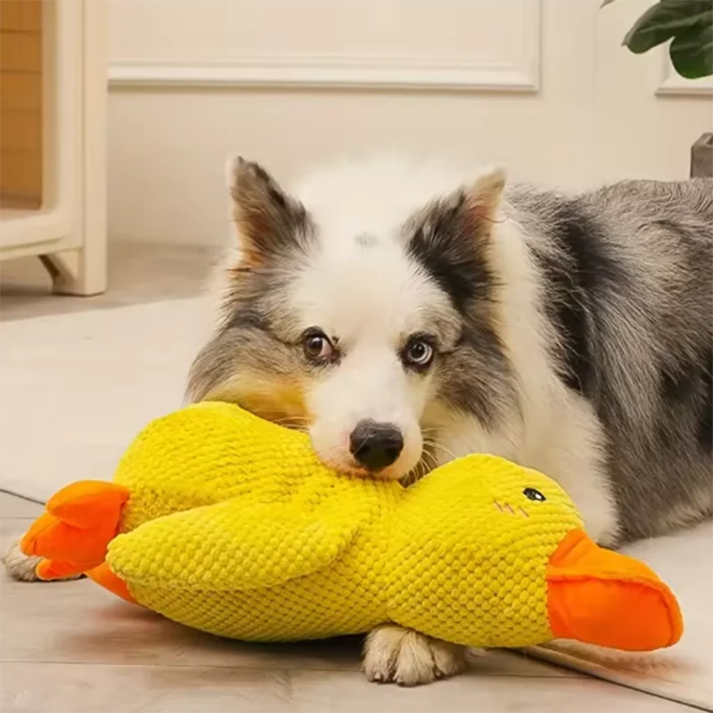 Juguete de Peluche Pato para Perros – Resistente a Mordidas - imagen 3