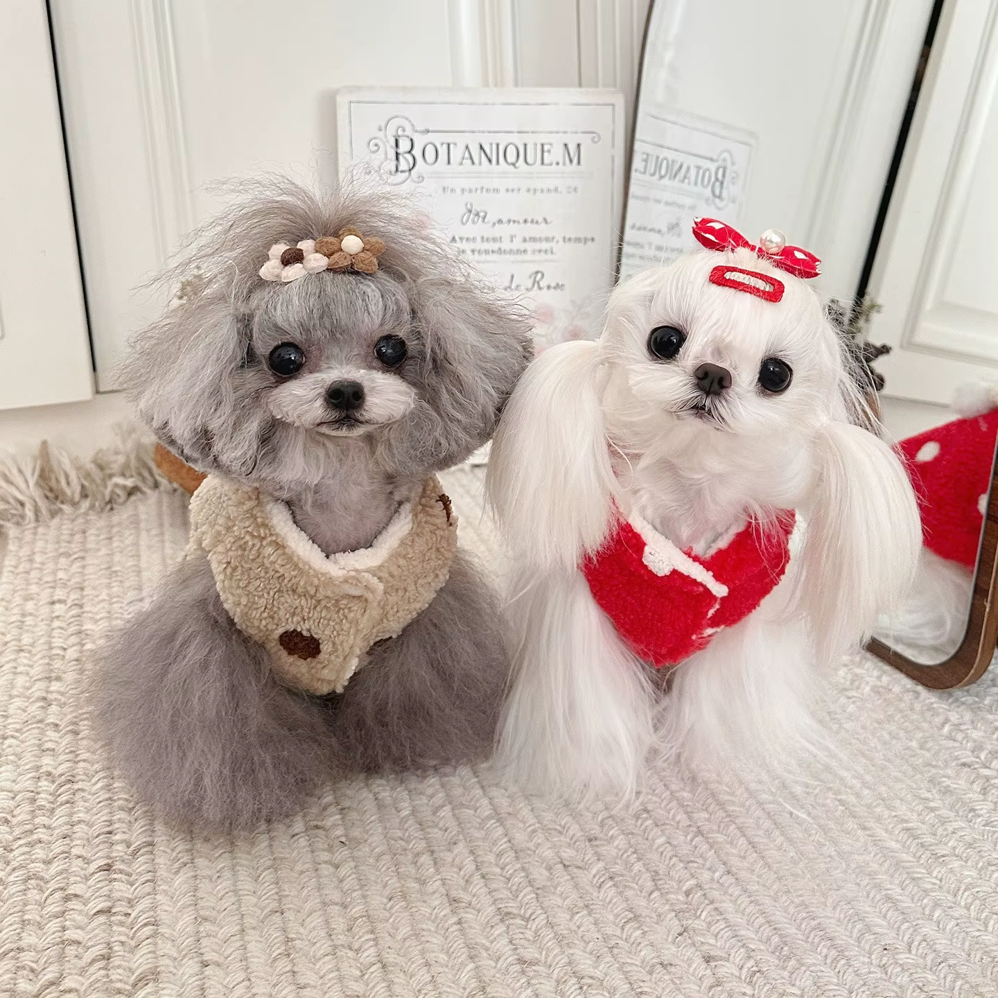 Abrigo de Felpa para Perros Pequeños – Chaleco Festivo con Lazo para Otoño e Invierno - imagen 5