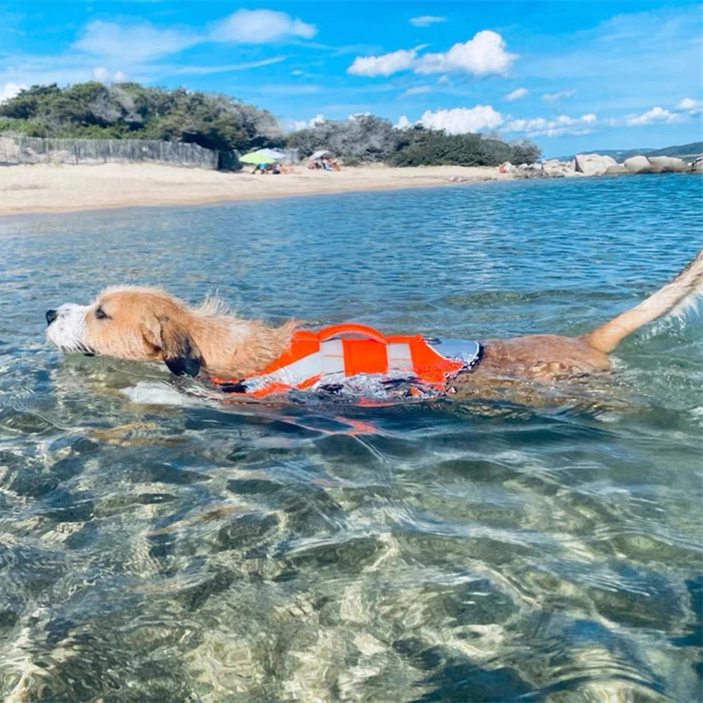 Chaleco salvavidas azul para perro pequeño