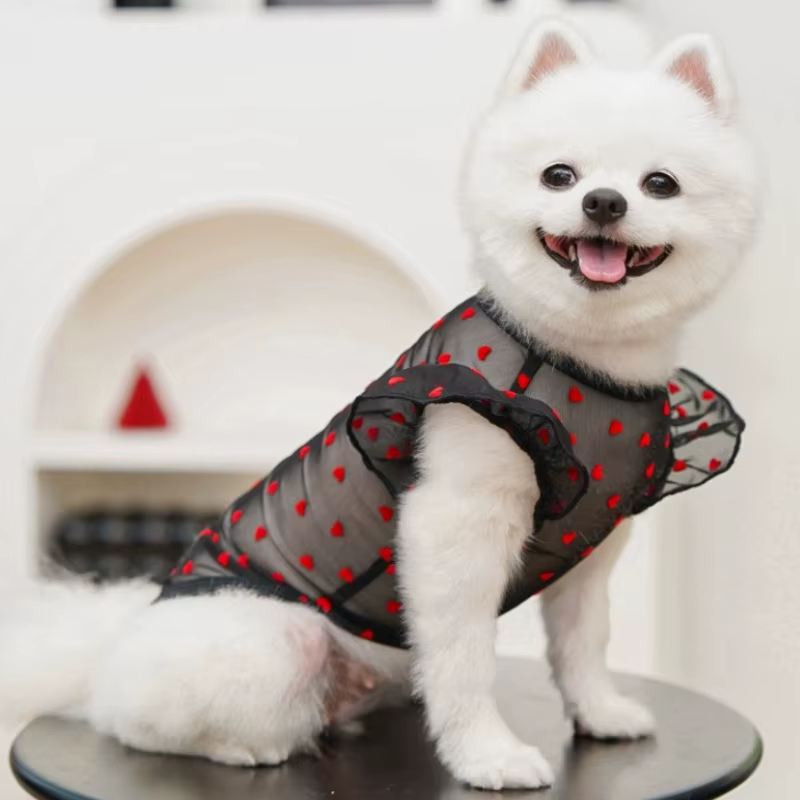 Chaleco de verano transpirable para perro y gato con corazones