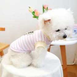 Jersey a rayas para perros y gatos, ideal para el otoño