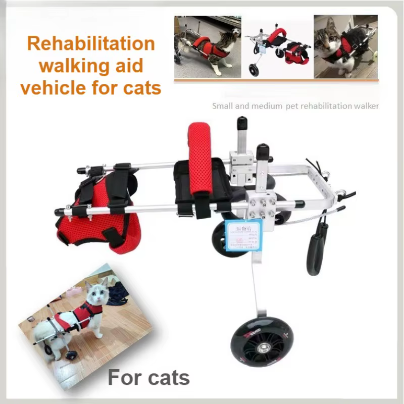 Silla de ruedas para gatos y perros mayores o hemipléjicos – Coche de movilidad ajustable