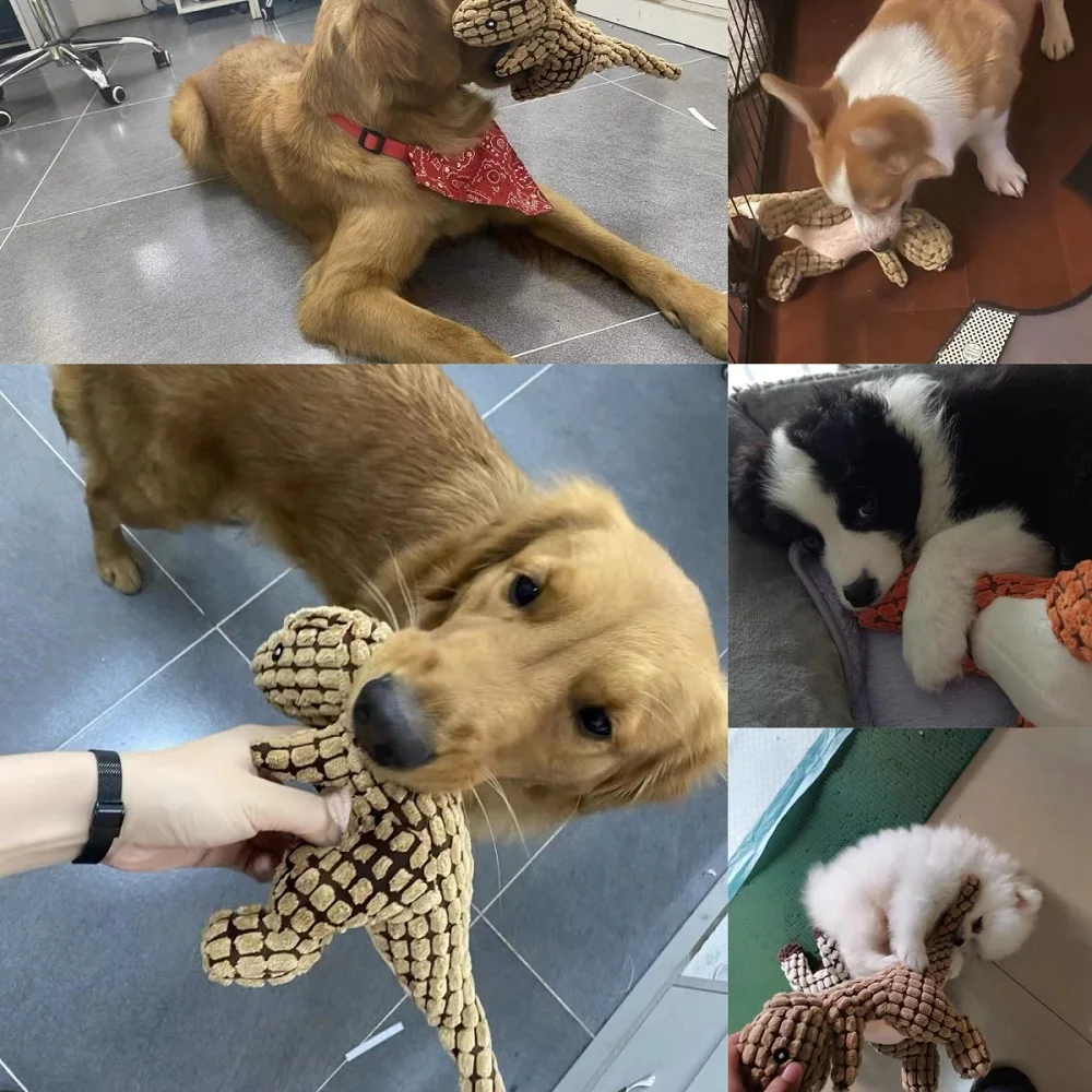 Dinosaurio peluche para perros pequeño