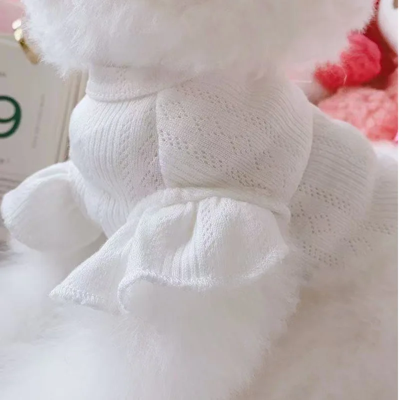 Detalle de la prenda en perro pequeño