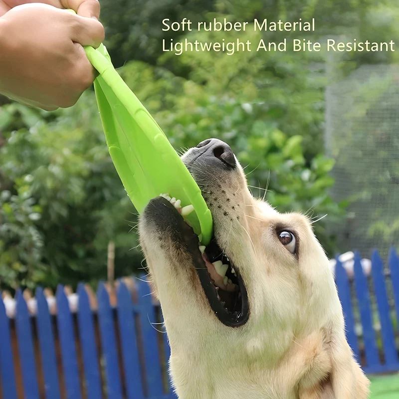 Frisbee flotando en agua con perro nadando hacia él