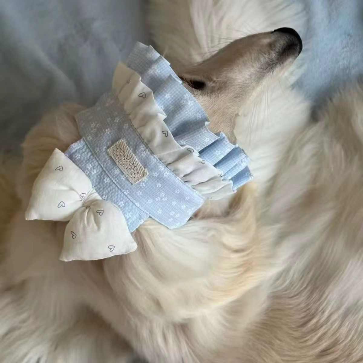 Gorro encaje antisuciedad con dibujos animados para perros y cachorros - imagen 4