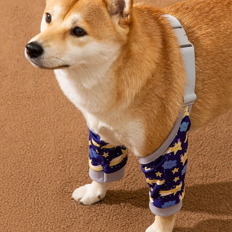 Protector de Patas Antisuciedad Pawstrip
