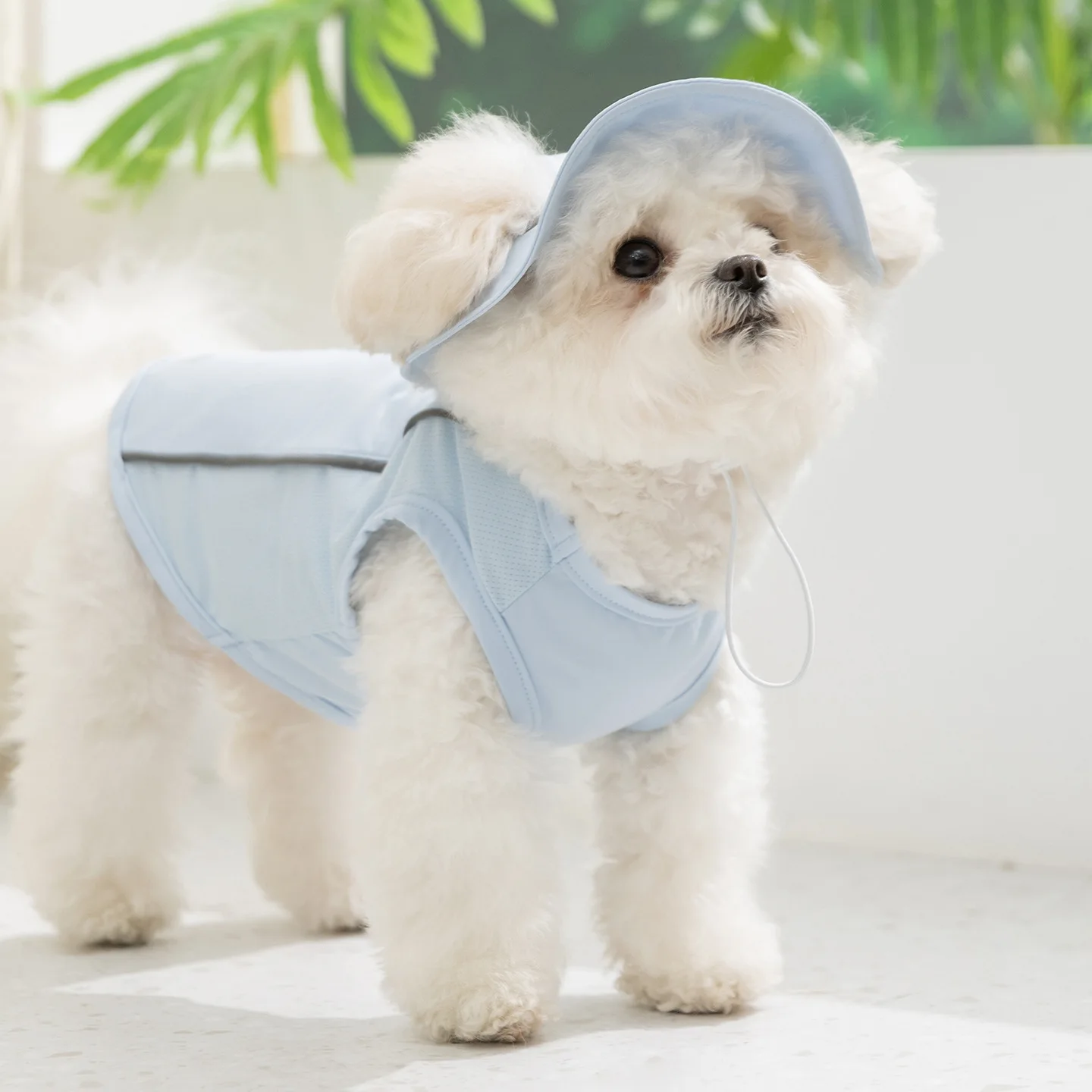 Ropa anti-UV con sombrero para perros pequeños teddy, chaleco fresco - imagen 3