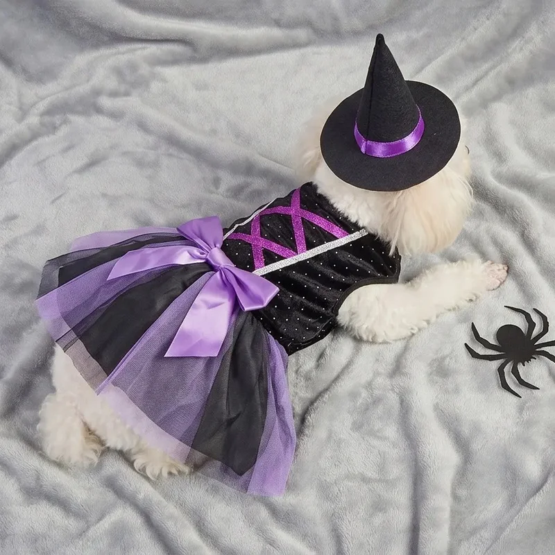 Disfraz Bruja Halloween para Perro y Gato – Tutú y Sombrero - imagen 2