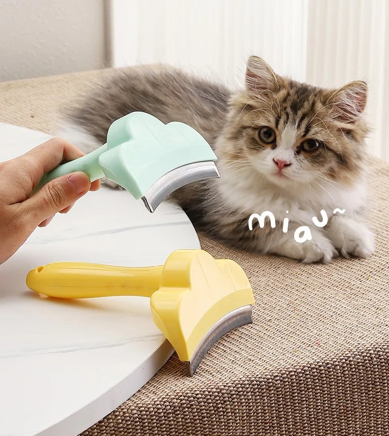 Set de herramientas para peluquería canina y felina