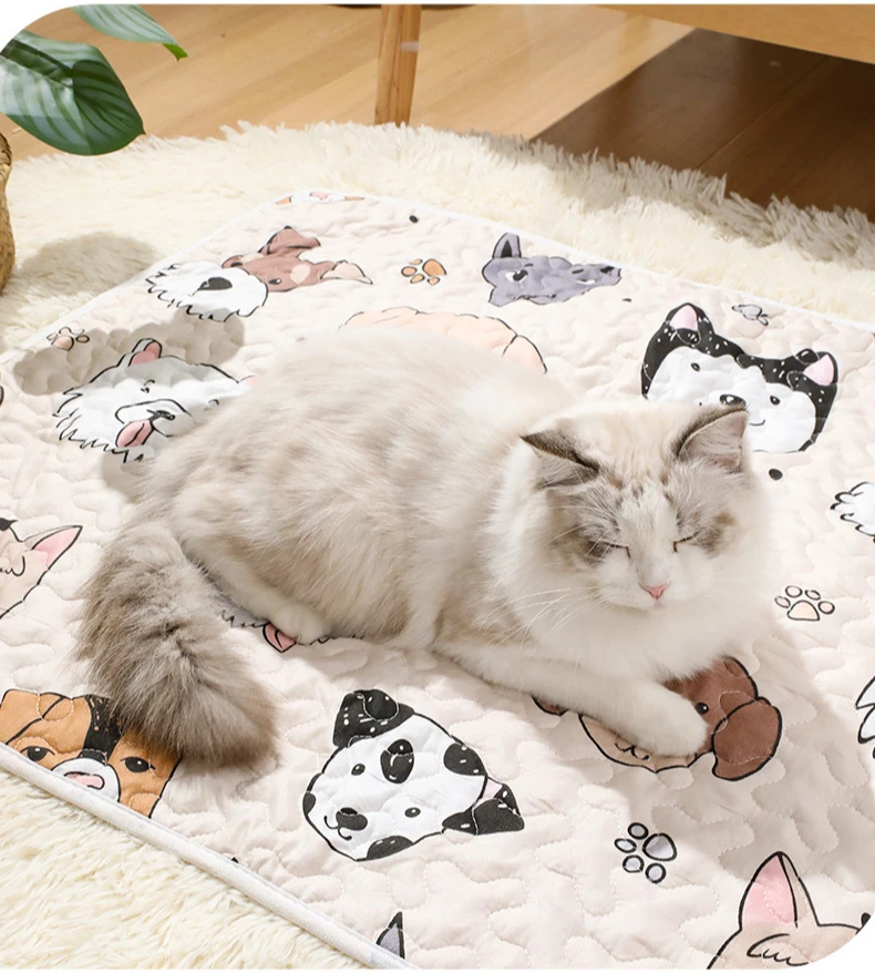 Alfombrilla usada en una cama de gato en invierno