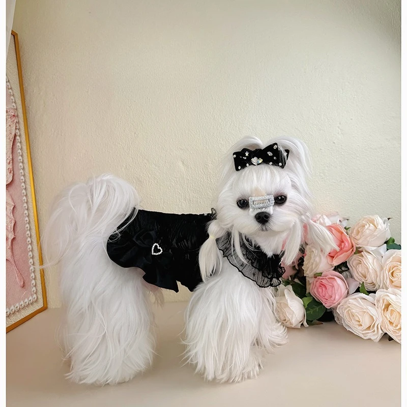 Falda de princesa de encaje para perros