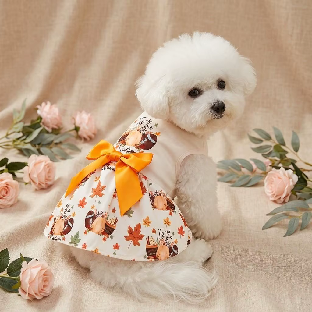 Mascota pequeña vistiendo el vestido tutú en entorno doméstico acogedor