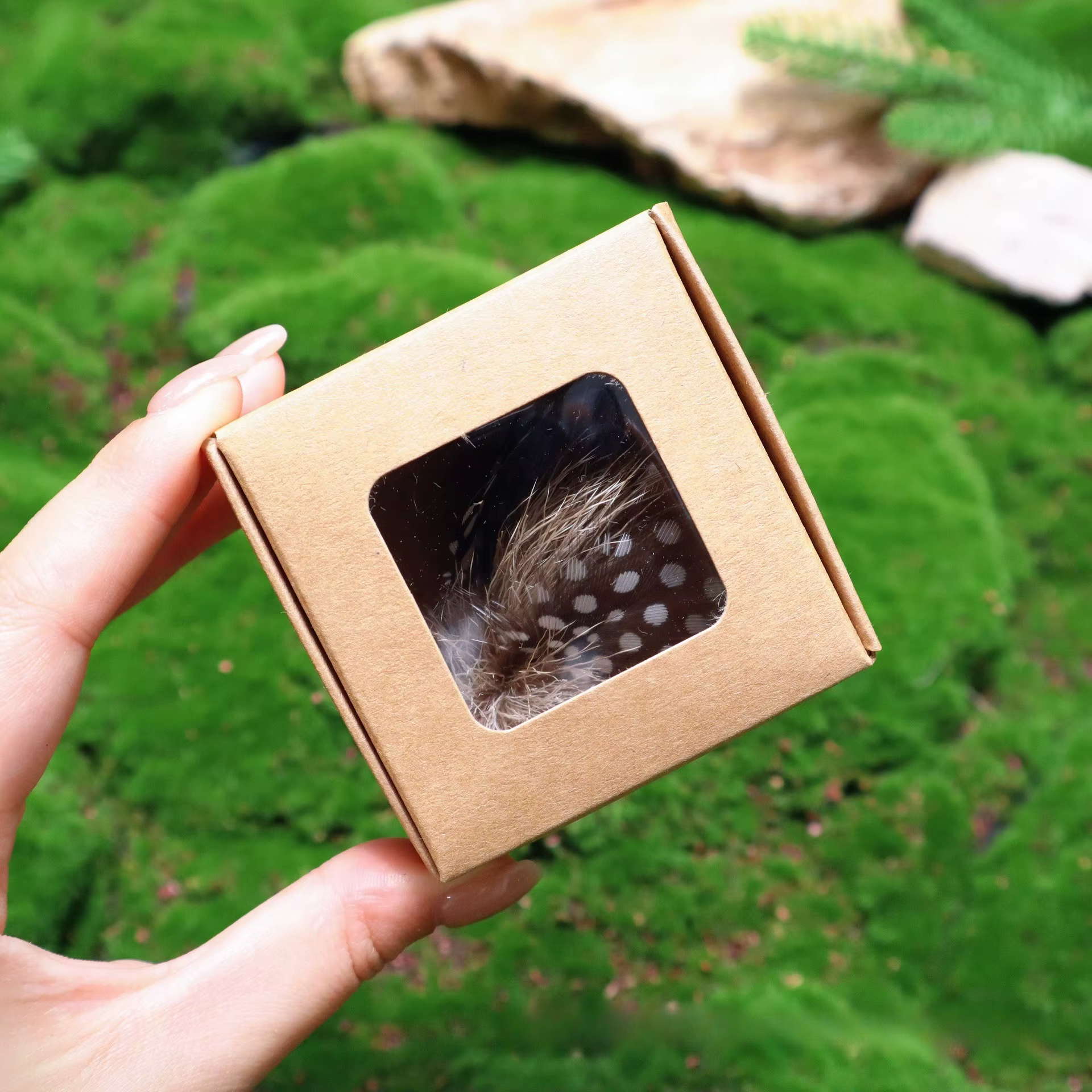 Repuestos de plumas para juguetes interactivos de gato - imagen 5
