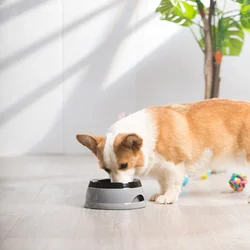 Bebedero flotante para perros y gatos – No moja el hocico
