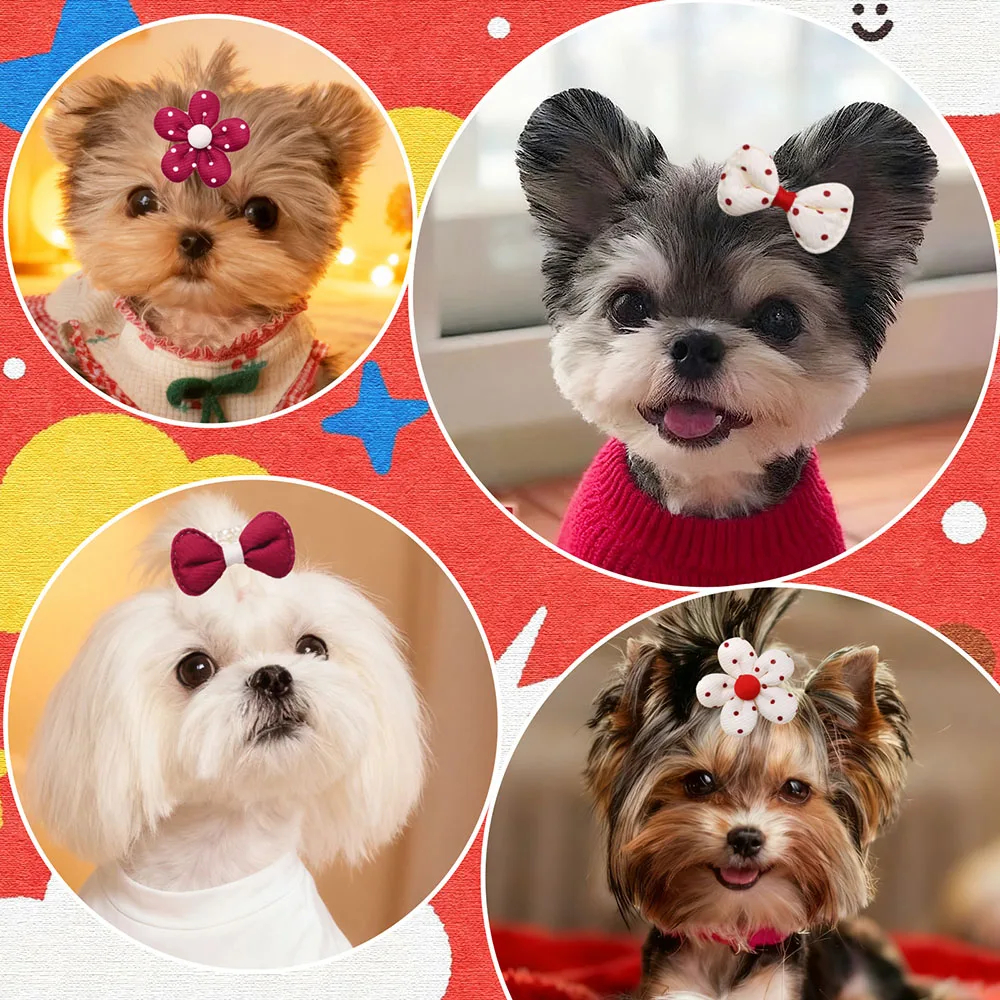Perro pequeño con lazo rosa en la cabeza