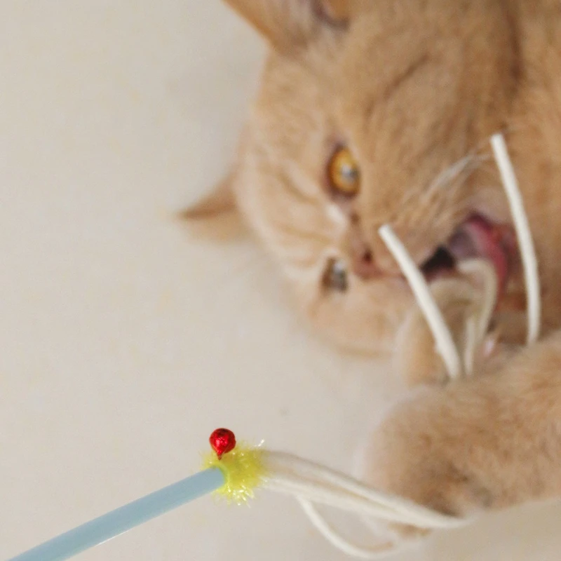 Caña interactiva lana con cascabel para gatos – Limpia dientes - imagen 4