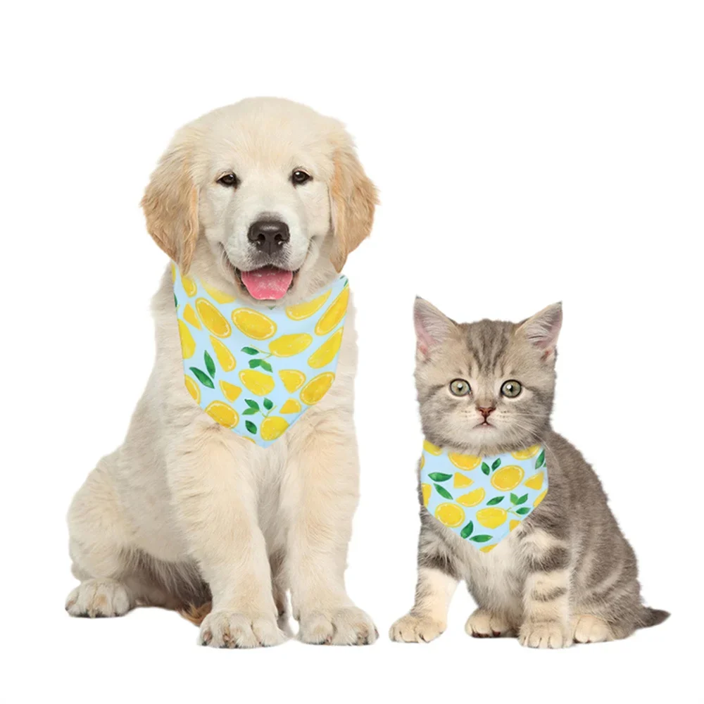 Pañuelo para Golden Retriever