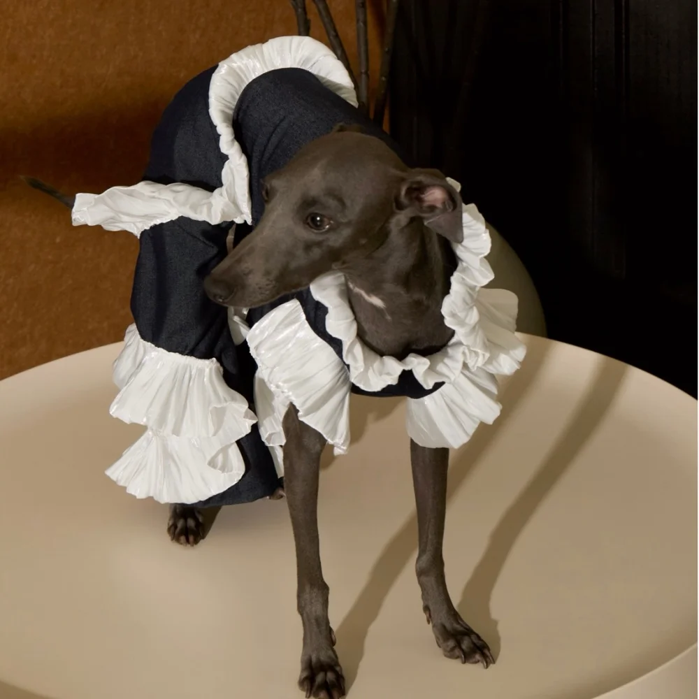 Vestido de fiesta de verano elegante para Galgo Italiano y Whippet - imagen 3