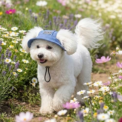 Gorra de jean con protección solar para perros – Chihuahua y Caniche