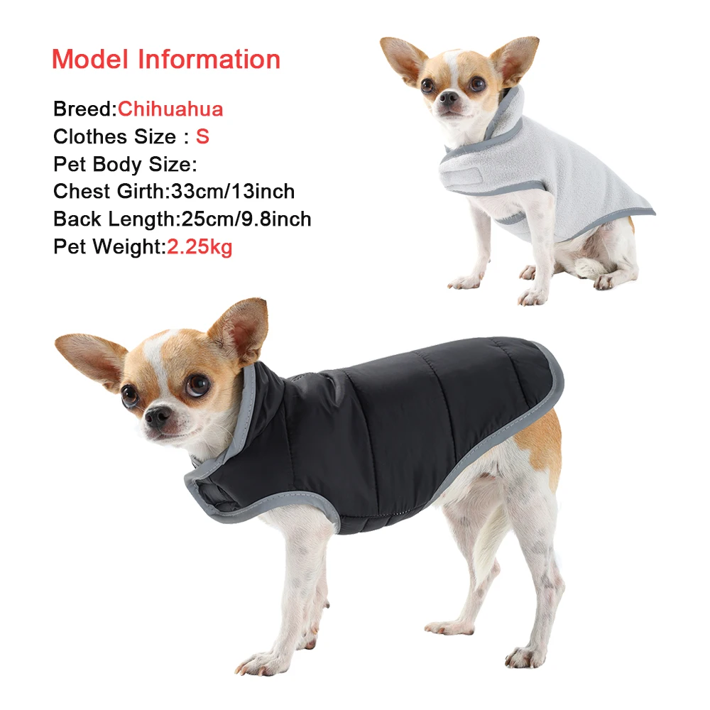 Modelo Chihuahua talla S mostrando el lado rojo del abrigo