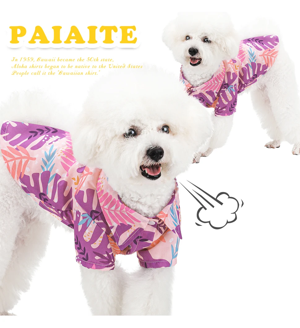 Perro mediano indossando camisa hawaiana rosa