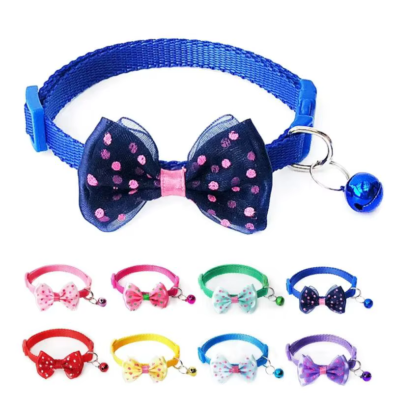 Mascota con collar de moda