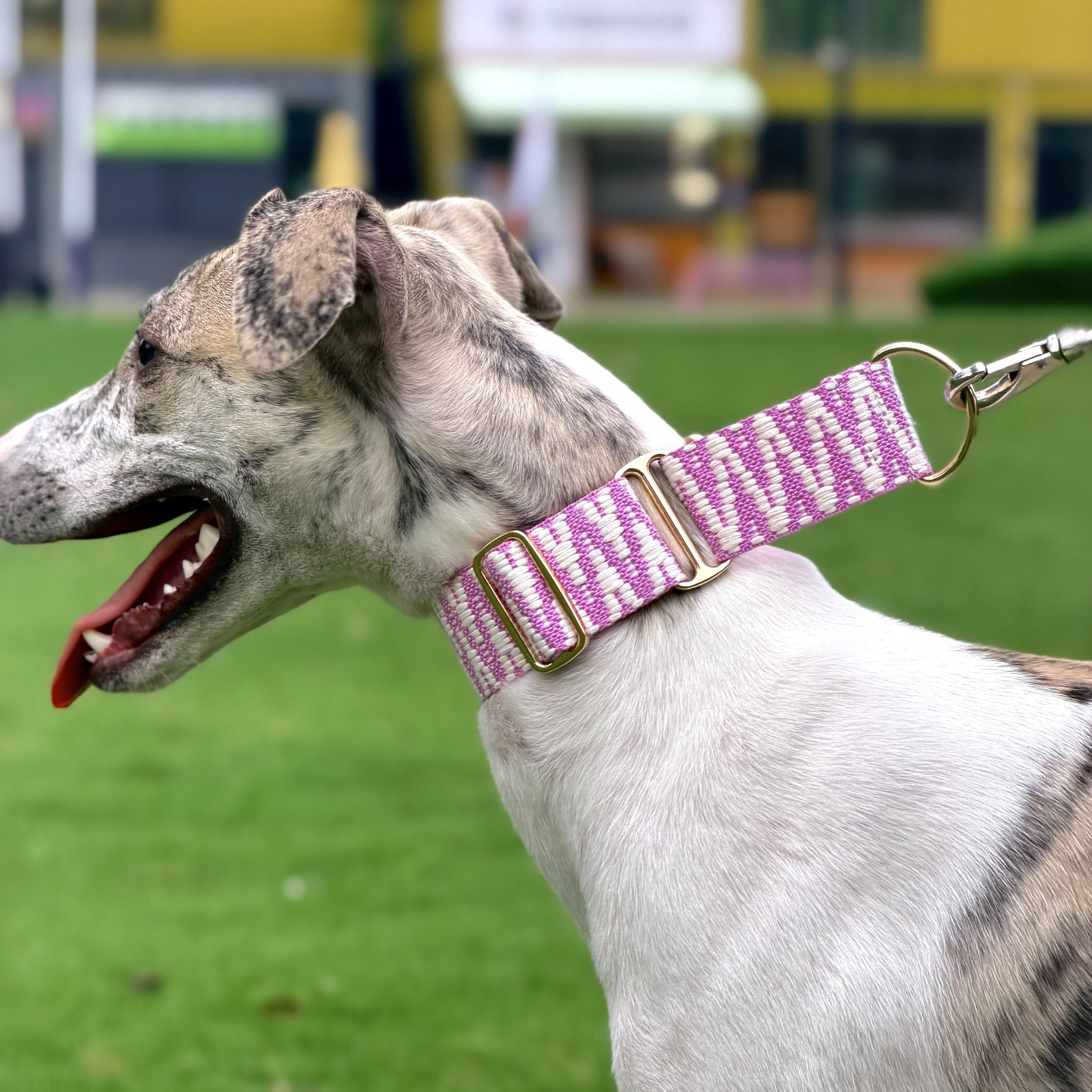 Collar martingala suave para galgos y whippets, ajustable - imagen 4