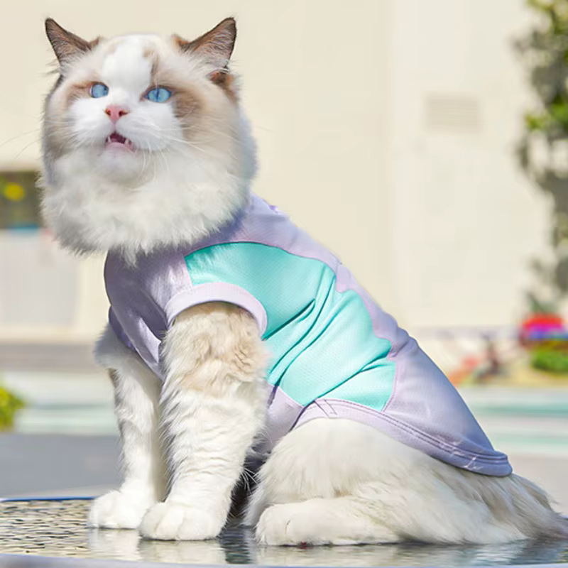 Chaleco de malla para perro Bichón y gato – Ropa fresca - imagen 4