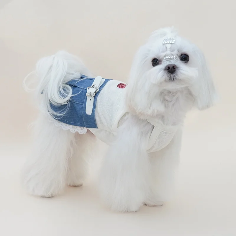 Vestido de denim para Maltese y Yorkie en uso