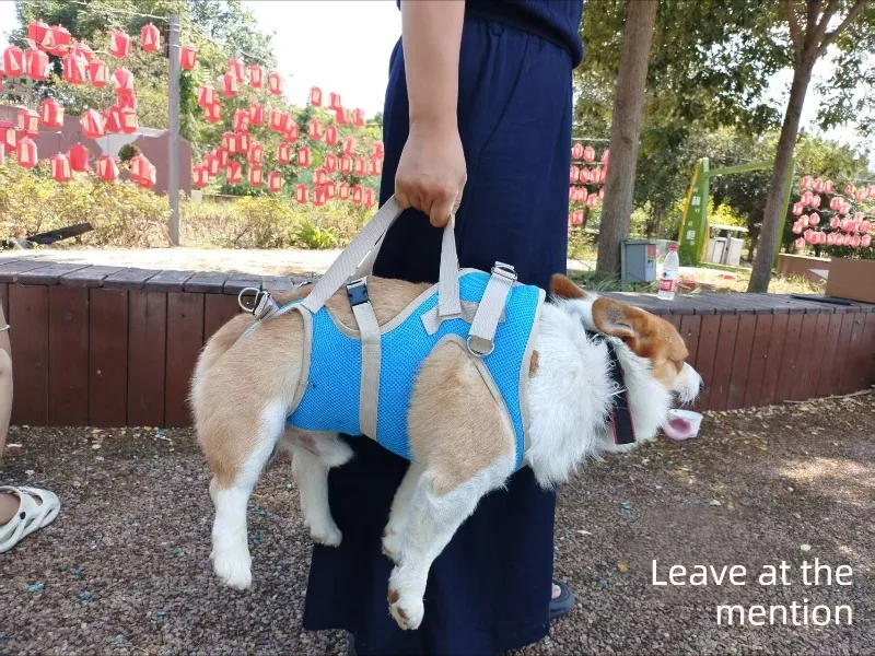 Silla de ruedas portátil para mascotas, vista de detalle