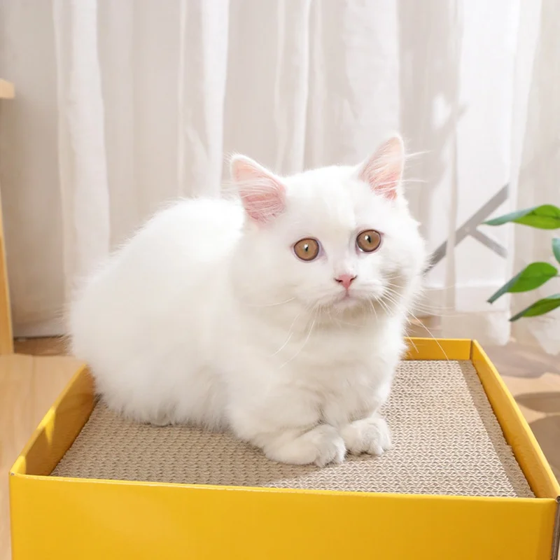 Interior de la casa para gatos con niveles