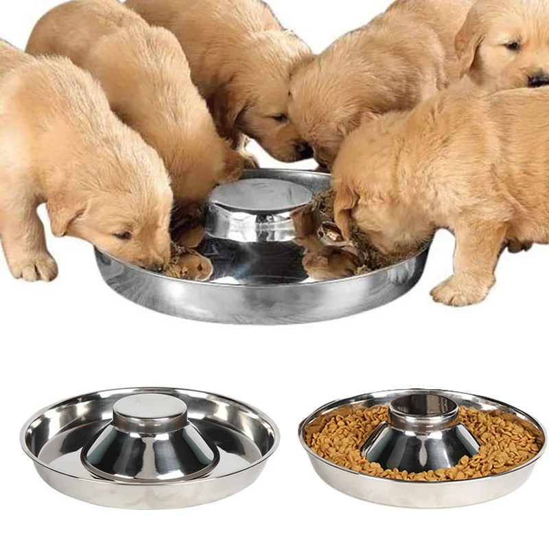 Cuenco Benepaw en uso con perro comiendo