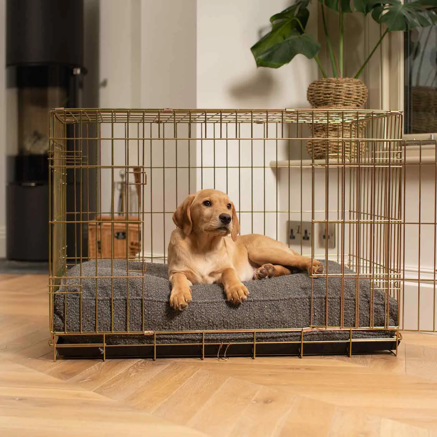 Colchoneta gruesa universal para jaula de perro suave y cómoda - imagen 4