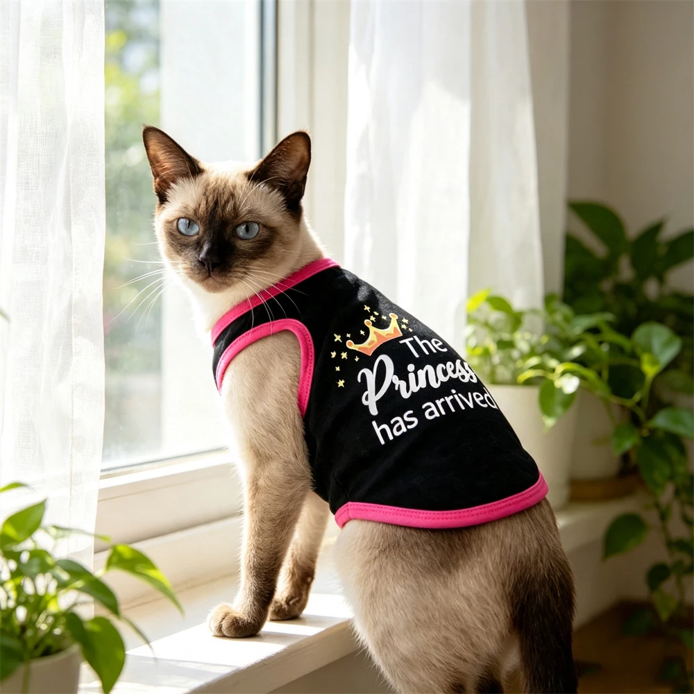 Comparativa visual del chaleco ligero frente a otras prendas más abultadas para gatos