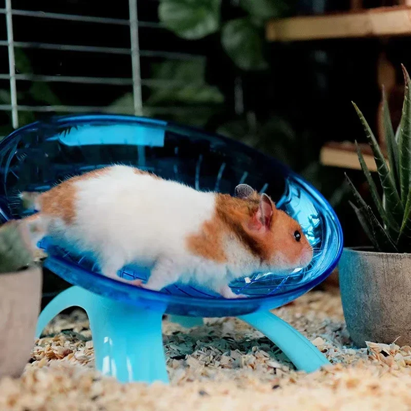 Comodidad de la mascota al correr