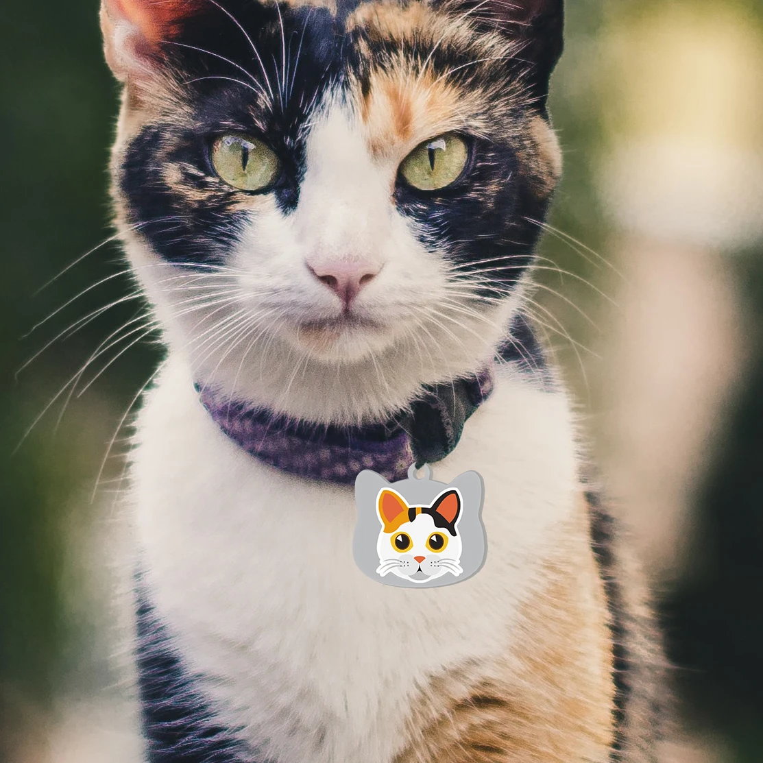 Diseño de etiqueta de gato en forma de cabeza