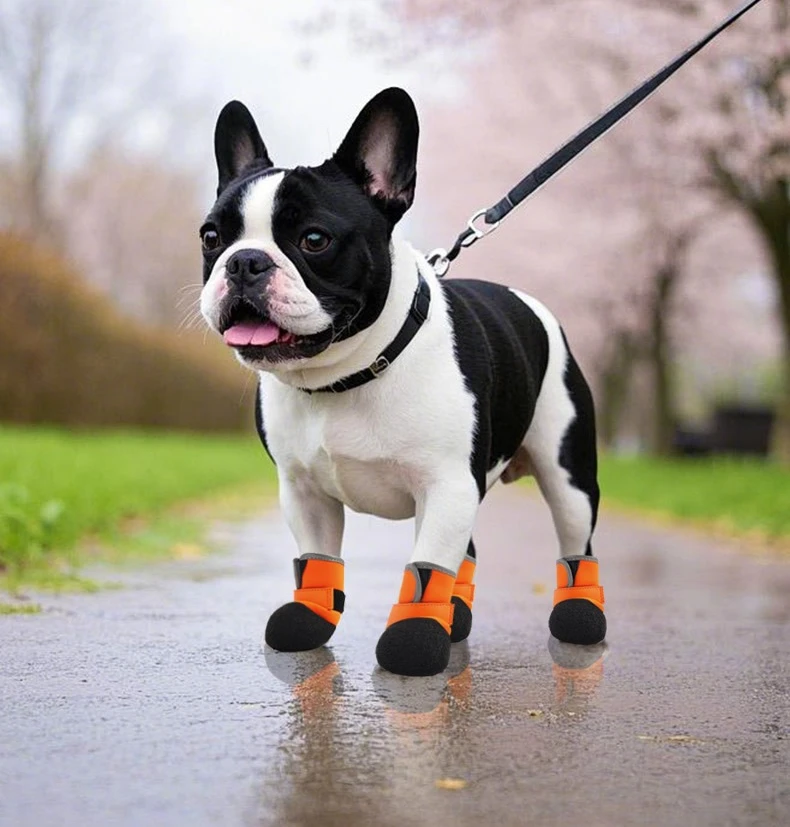 Zapatos impermeables para perros con tejido de buceo y suela antideslizante