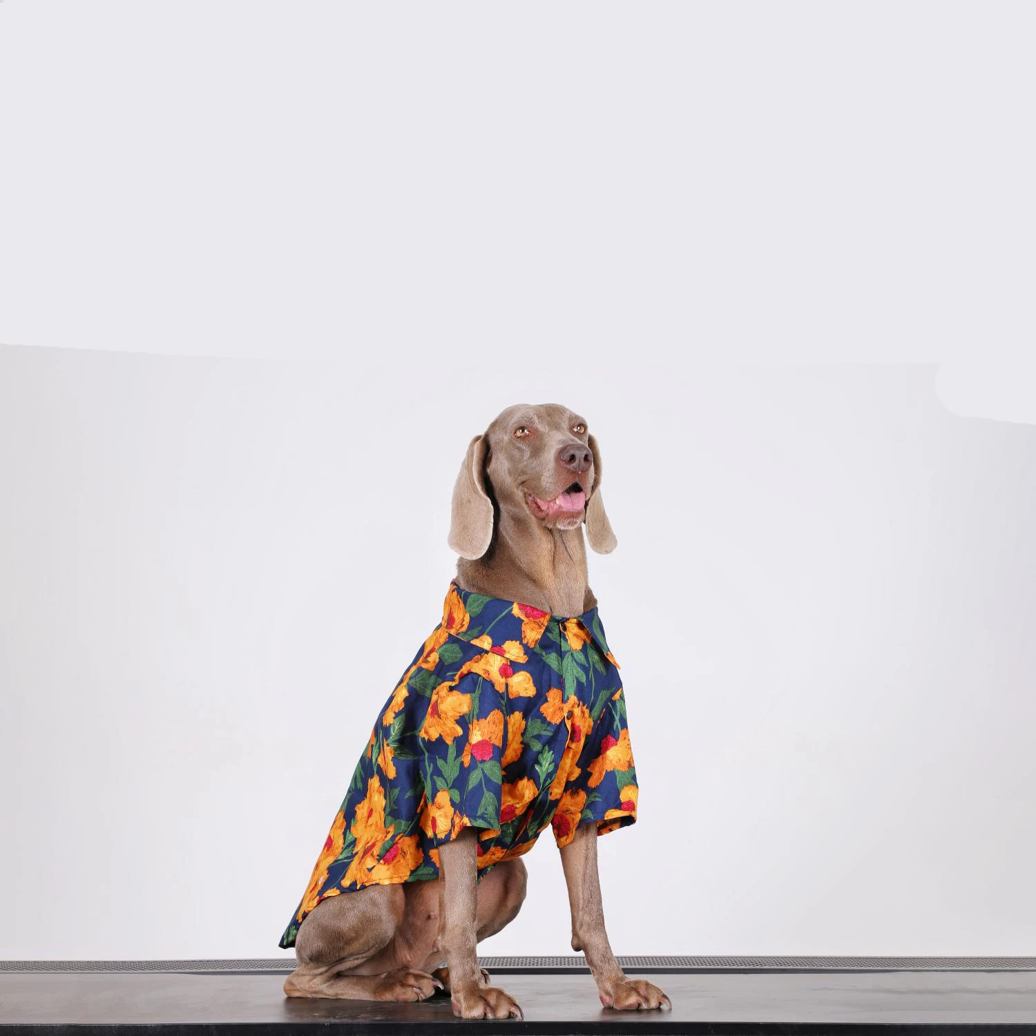 Camiseta para perro vista lateral con flores