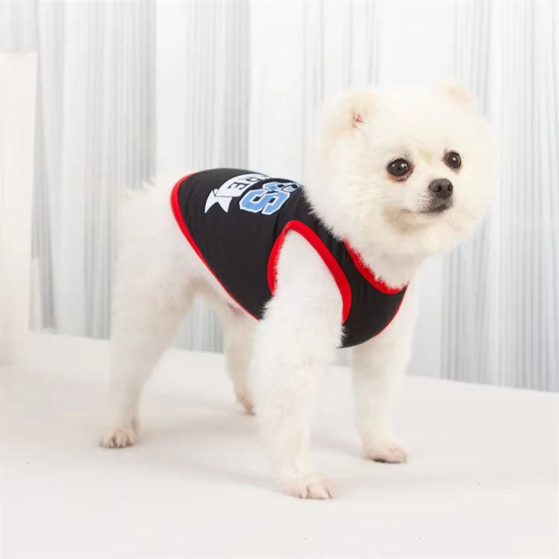 Chaleco puesto en perro pequeño raza Teddy