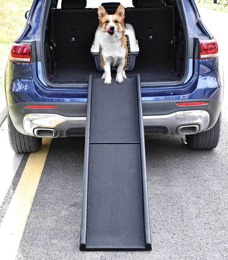 Rampa usada por un perro mayor con movilidad reducida